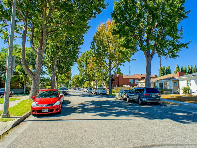 Treelined Street