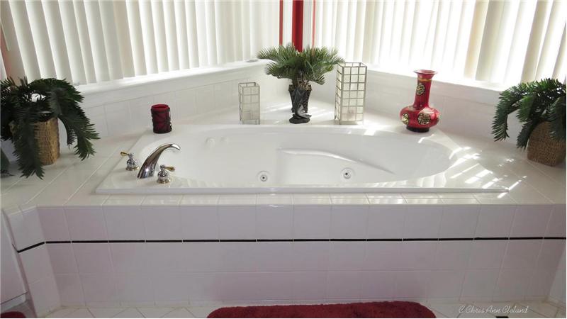 Jetted Soaking Tub in Owner