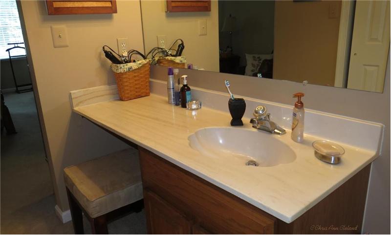 Transition Area with Vanity, Sink & Medicine Cabinet between Owner
