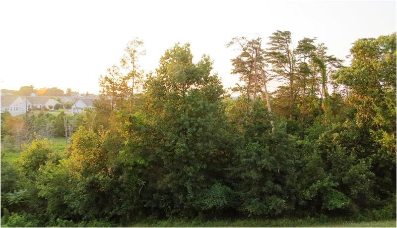 Deck overlooks Mature Trees, Community of Dunbarton & Bull Run Mountain in the Distance