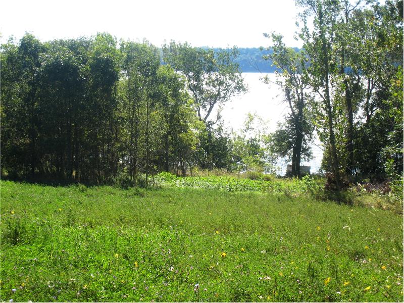 5 Acres of Prime Waterfront