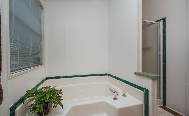 Master Bathroom 2