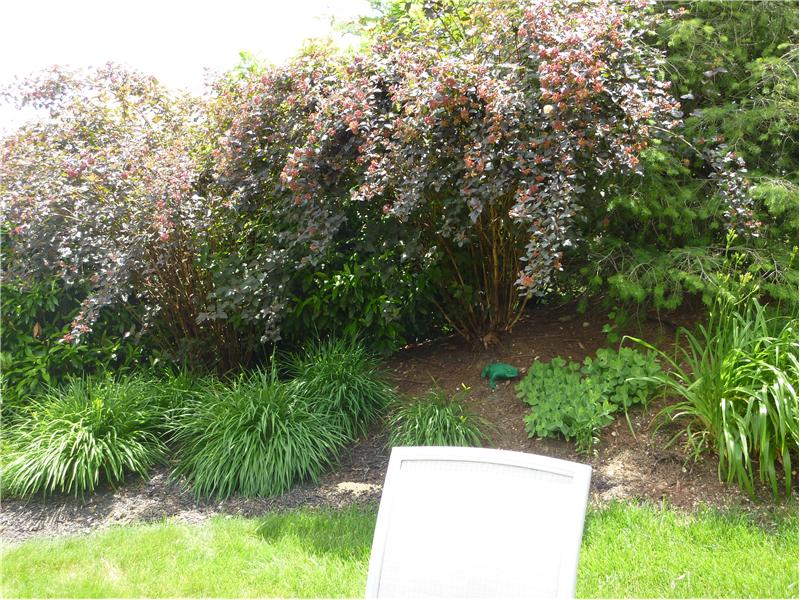 Seasonal Flowers Overlooking Patio